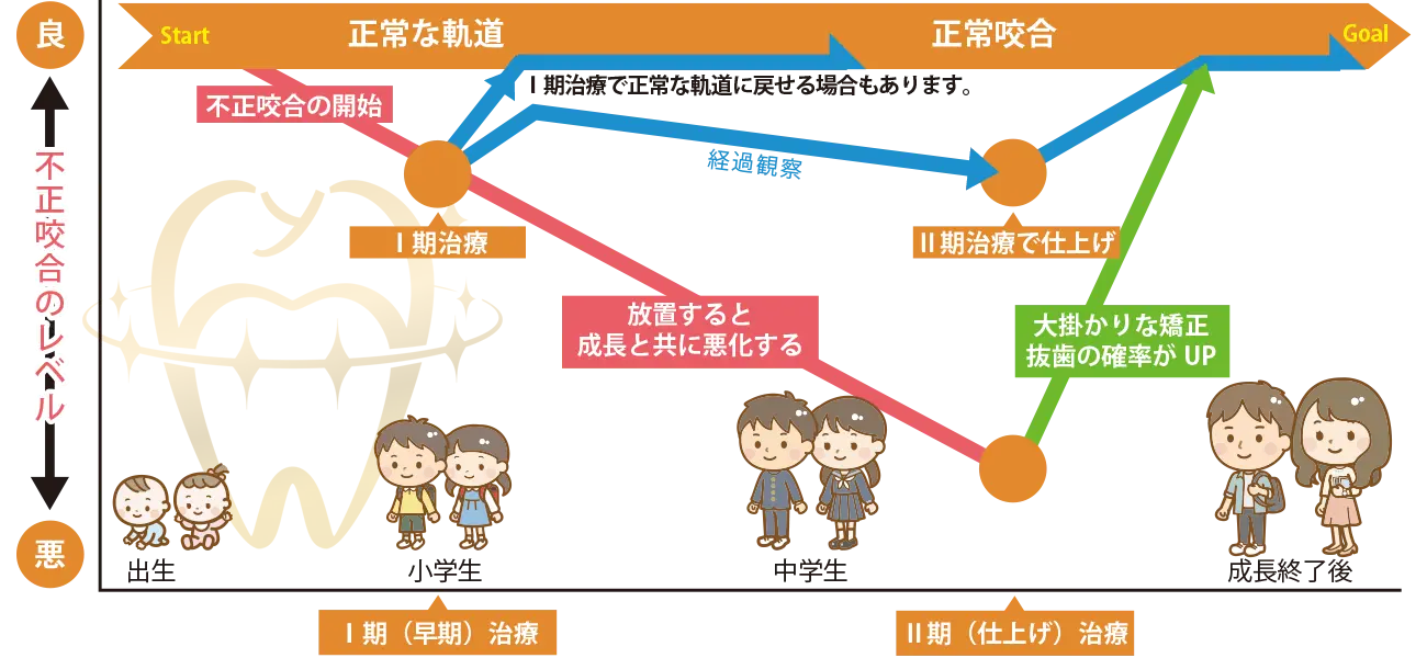 矯正1期と2期成長